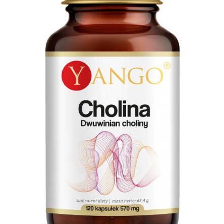 Cholina - Dwuwinian choliny - 120 kaps. YANGO