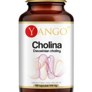 Cholina - Dwuwinian choliny - 120 kaps. YANGO