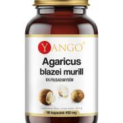 Agaricus Blazei Murill YANGO ekstrakt 10% polisacharydów - 90 kapsułek