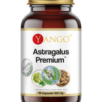 Astragalus Premium™ - 90 kaps. YANGO