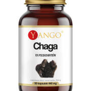 Chaga - ekstrakt 10% polisacharydów 90 kaps Inonotus obliquus Yango